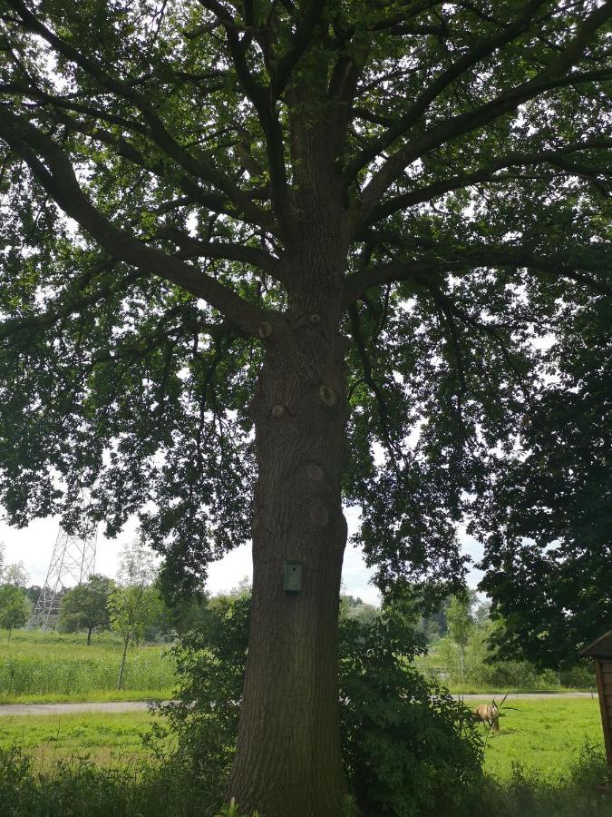 Vakantieboerderij Misset Appartement Goor Buitenkant foto