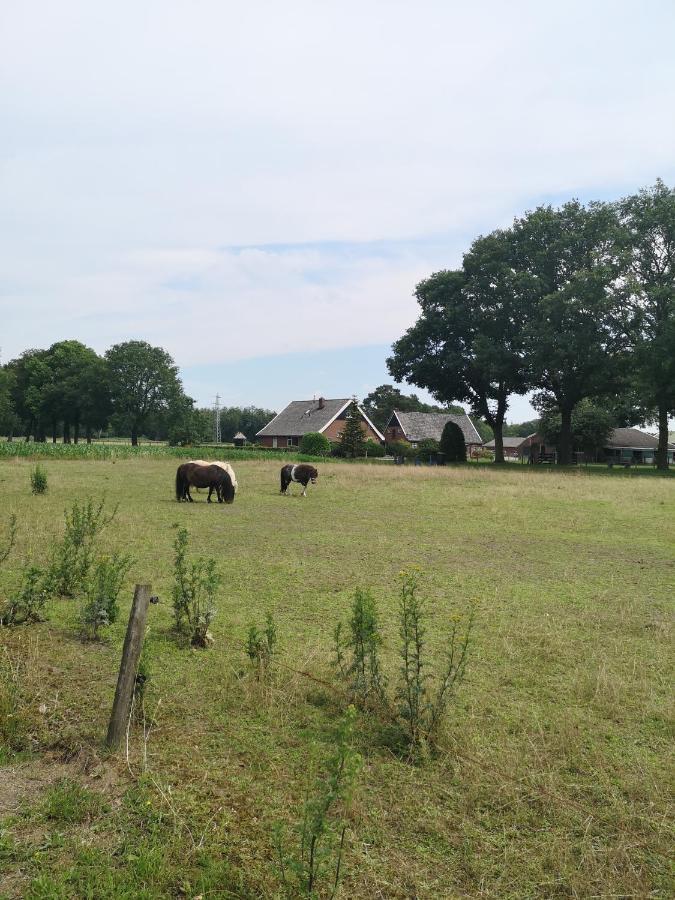 Vakantieboerderij Misset Appartement Goor Buitenkant foto
