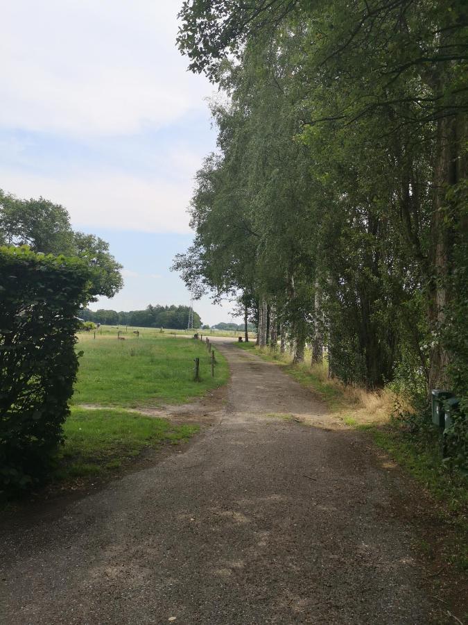 Vakantieboerderij Misset Appartement Goor Buitenkant foto